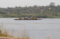 IMG 0662