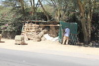 IMG 9868