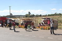 IMG 9872