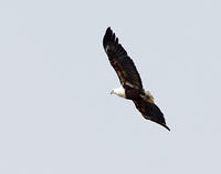 IMG 0673