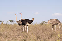 IMG 2076