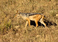 IMG 9677