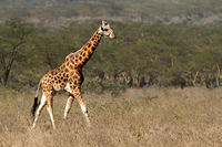IMG 9749