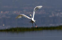 IMG 9782