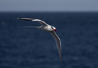 IMG_5888