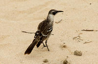 IMG_5658