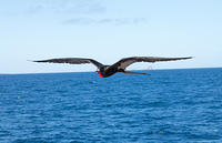 IMG_5754