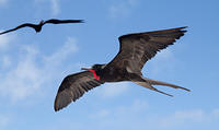 IMG_5755