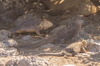 IMG_5806