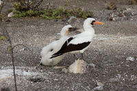 IMG_6191