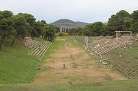 IMG 0229