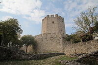 IMG 9909
