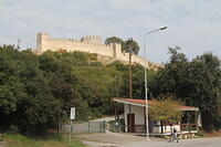 IMG 9916