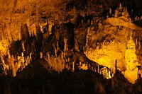 IMG 9994