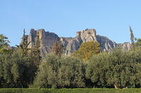 IMG 9969