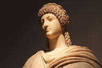 IMG 0089