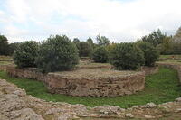 IMG 0102