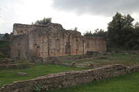 IMG 0104