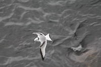 IMG_6746