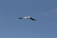 IMG_6489