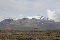 IMG_6728