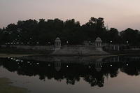 IMG_5350