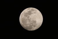 IMG_5523
