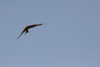 IMG_5840