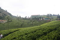 IMG_9587