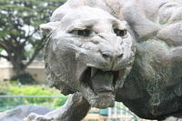 Wildlife