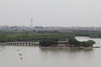 IMG_9704