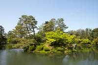 IMG_8575