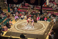 IMG_9134