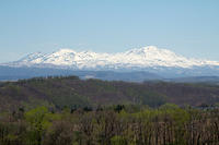IMG_9248