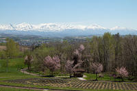 IMG_9256