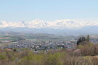 IMG_9257