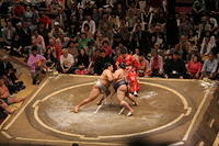 IMG_9181