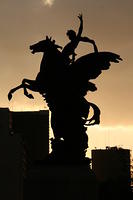 IMG_7485