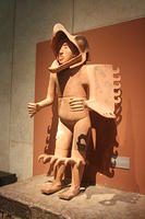 IMG_7547