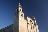 IMG_6506