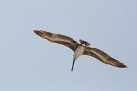 IMG_7189