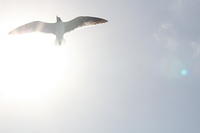 IMG_7202