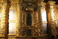 IMG_1239