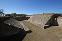 IMG_1241