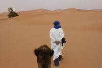 Morocco 2011