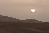 IMG_2240