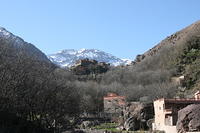 IMG_2440