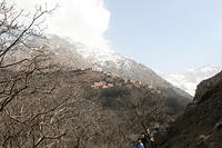 IMG_2403