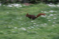 IMG_2690