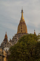 IMG_0302